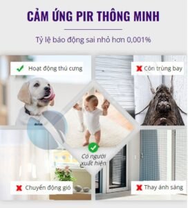 Camera 4G Ngoài Trời 2K Hai Mắt Xem Từ Xa - Ảnh 8